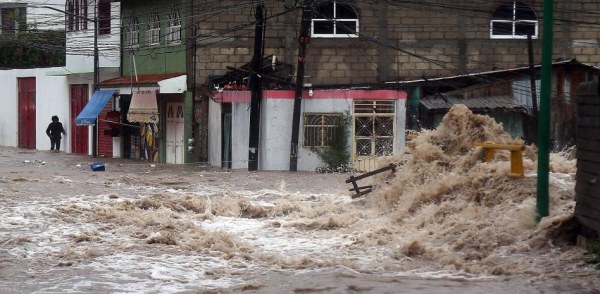 Pide PRI a gobierno federal condonar pago de luz a damnificados de Guerrero por 