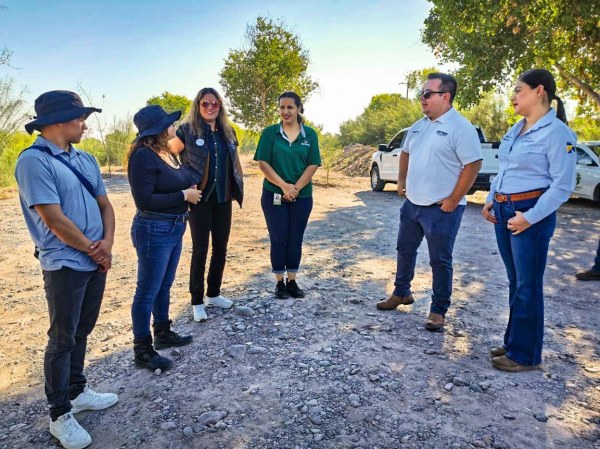 Invitan Miriam Soto este sábado a reforestación 