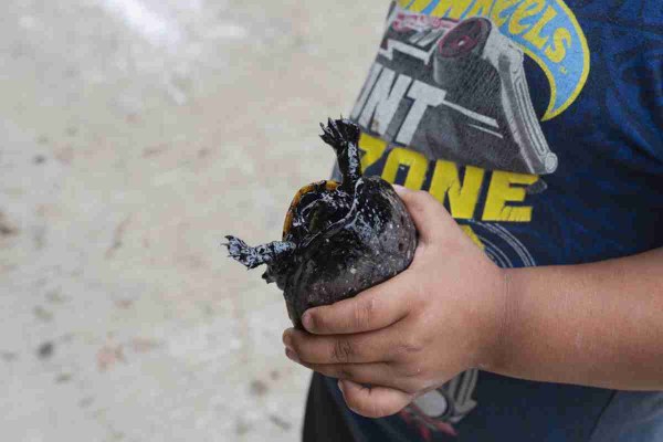 Habitantes de Papantla, Veracruz, sufren afectaciones a salud por fuga de hidrocarburos; Pemex omite el desastre ambiental