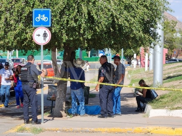 Muere adulto mayor en el Palomar