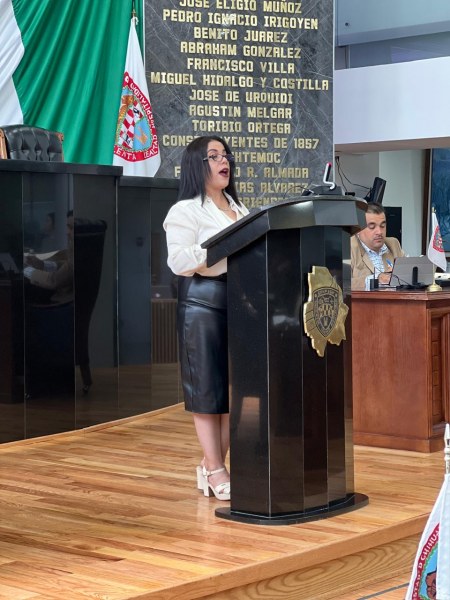 Exige Magdalena Rentería transparencia en Consejo Consultivo de Transporte, pues 241 mil chihuahuenses en Ciudad Juárez dependen de los sistemas de transporte