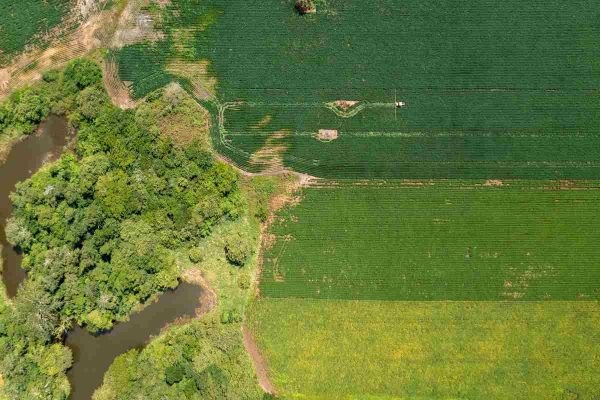 Pueblos mayas exigen declarar emergencia socioambiental en Península de Yucatán a causa de megaproyectos como el Tren Maya