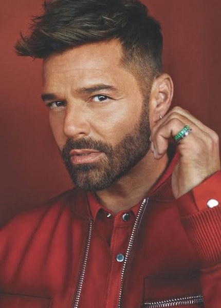 Esperamos un aforo de 50 mil personas en el concierto de Ricky Martin: Bonilla