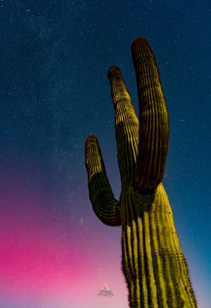 Así se vio la aurora boreal en el desierto de Sonora