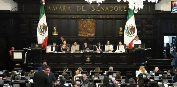 Senado sortea 414 magistraturas y 371 juzgados para elección en 2025