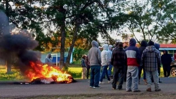 Sujetos armados retienen y asesinan a tres indígenas en Michoacán que se dedicaban a la producción de aguacate