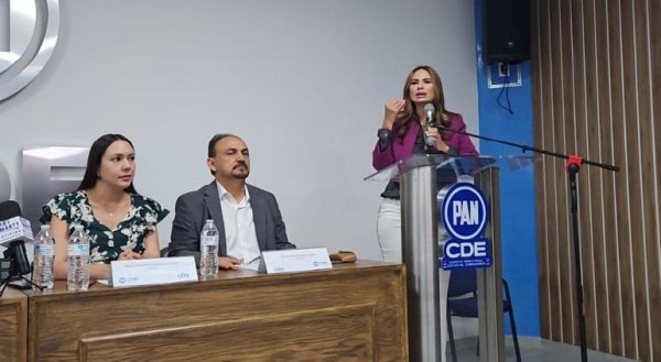 Impugna Cristina Jiménez al Proceso de Elección para el CDEPAN