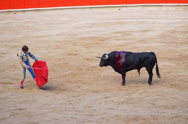 La Suprema Corte de México ordena reactivar las corridas de toros en la capital mexicana