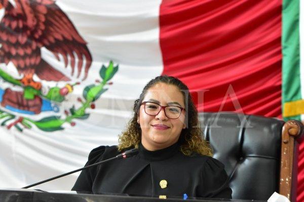 Licencias de conducir son necesarias para seguridad, pero no un objeto recaudatorio: Elizabeth Guzmán