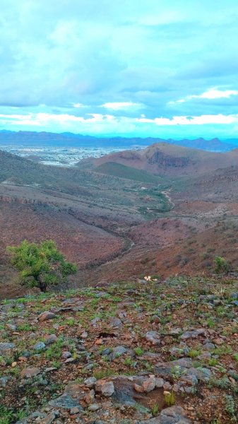 Responde Salvemos los Cerros al Municipio