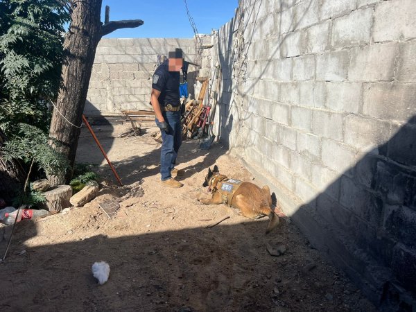 Durante un cateo localizan FGE y AEI cuerpo inhumado clandestinamente en Colinas de Juárez