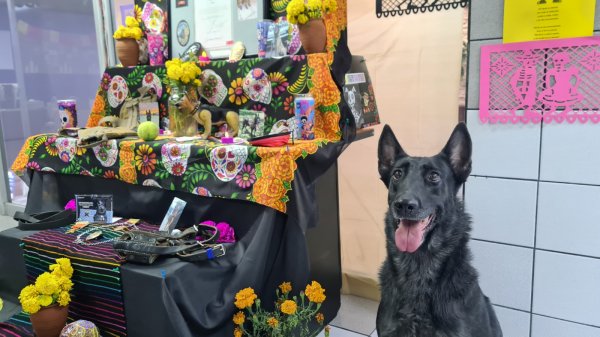 Con un altar en Comandancia Norte, reconoce grupo K-9 a cinco caninos fallecidos recientemente