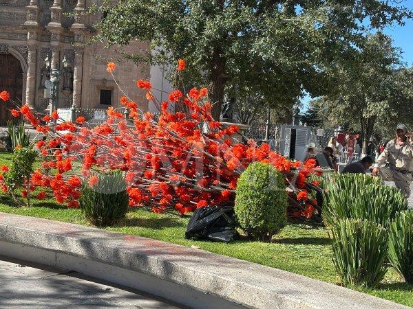 Comienza el montaje del Árbol de la Vida en la Plaza de Armas