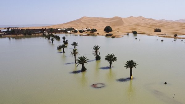 Las intensas lluvias devuelven la vida al desierto del Sáhara