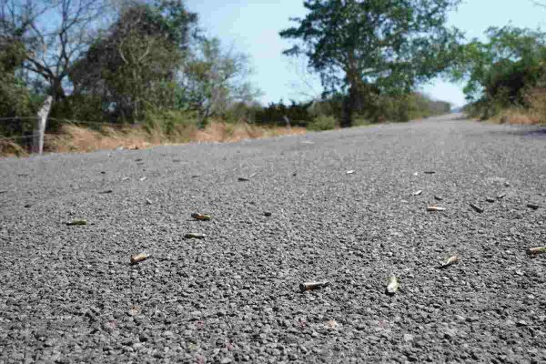 Michoacán: asesinan a la directora de seguridad pública del municipio de Angamacutiro y al excalde de Cotija