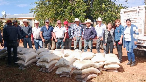 Entregan más de 200 apoyos agrícolas a familias de Moris