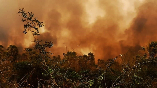 Bolivia declara la emergencia nacional por los incendios forestales