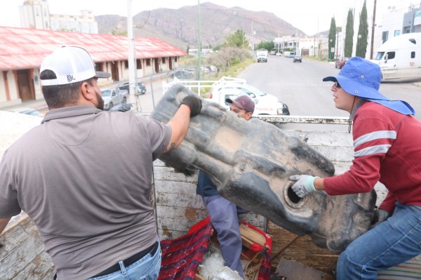 Recoge Gobierno Municipal 22 toneladas de tiliches en mega Destilichadero del fin de semana