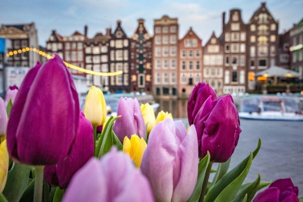 Viaje a Ámsterdam para principiantes: qué hacer en tu primera visita