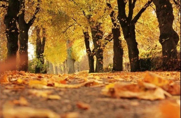 ¿A qué hora y cuándo inicia el equinoccio de otoño?