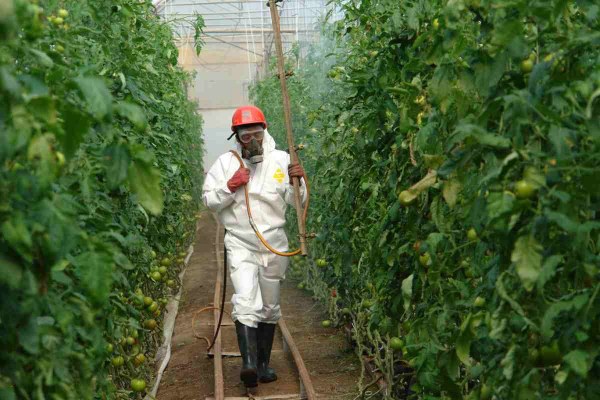 Sin monocultivos ni plaguicidas: campesinos trabajan con alternativas a los daños agroindustriales