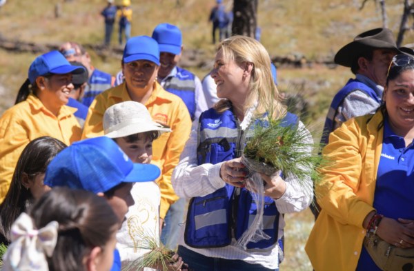 Impulsa Maru Campos la reforestación y el desarrollo sustentable en beneficio de 10 mil habitantes de la Sierra Tarahumara