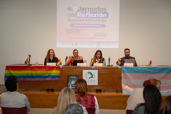 Democracia y diversidad: avances y retos de las acciones afirmativas para la población LGBTTTIQ+