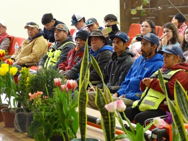 Inician talleres para la poda de arboles en 40 municipios de Chihuahua