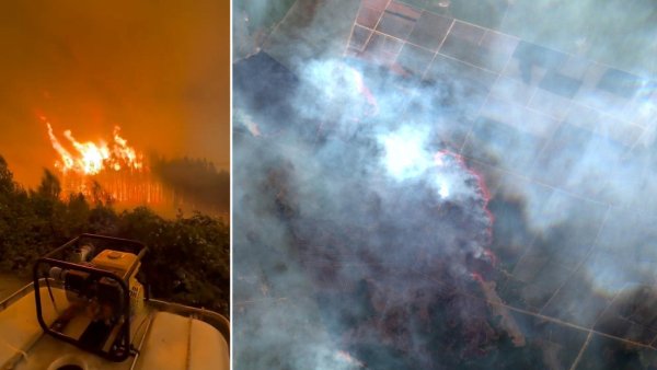 Incendios forestales arrasan miles de hectáreas en el sur argentino (videos)