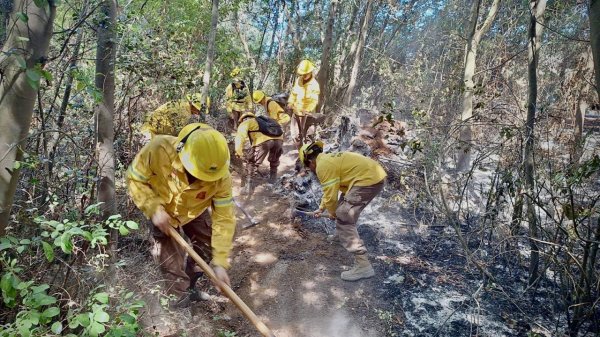 Chile declara estado de emergencia por amenaza de incendios