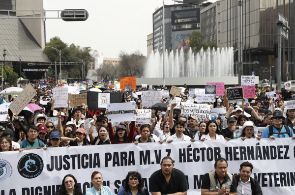 Indignación nacional por asesinato de veterinario en México