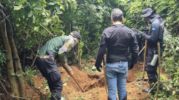 El macabro descubrimiento en dos fosas clandestinas de Brasil: ¿Qué hay detrás?