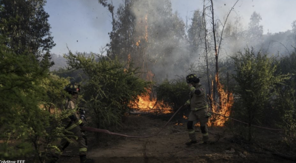 Detienen a dos bomberos en Chile por incendios que destruyeron 82 hectáreas de vegetación