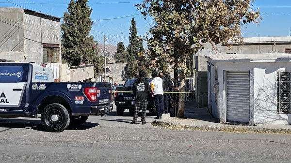 Dejan libre a dueño de canes que atacaron a menor en el Cerro de la Cruz