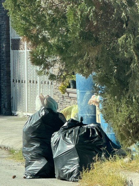 Operativo urgente en Delicias en recolección de basura ante fallas de Deltor