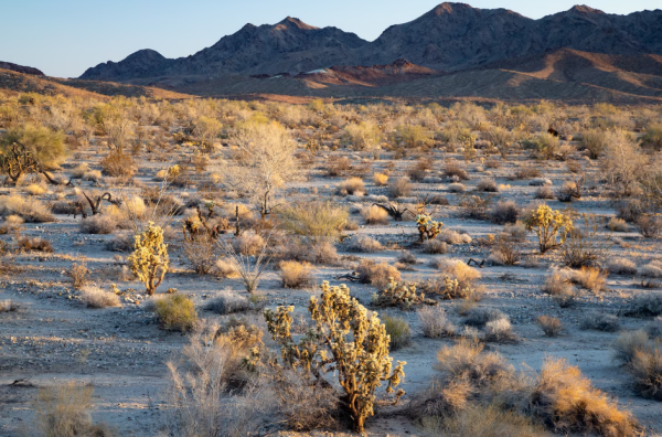 Nombran monumentos nacionales a territorios de los pueblos indígenas Chuckwalla y Sáttítla Highlands, en California