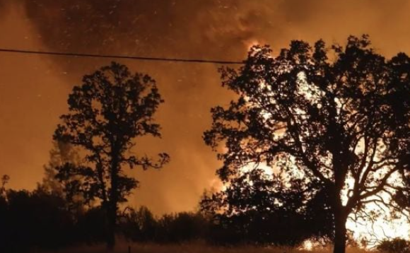 Ascienden a más de 80 mil los evacuados en Los Ángeles por incendios que avanzan sin control