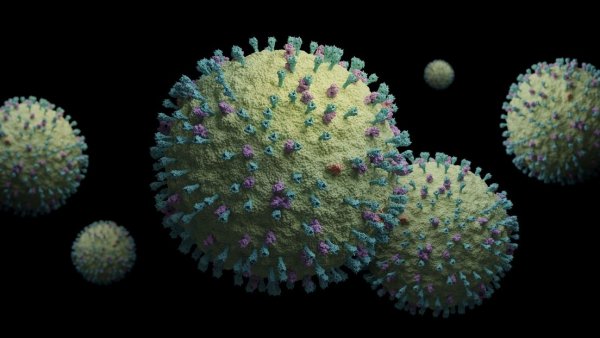 OMS evalúa el riesgo de un posible brote de metapneumovirus