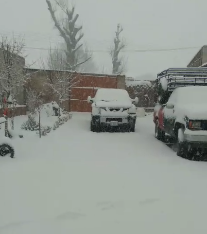 Celebran en Matachí caída de nieve en la región