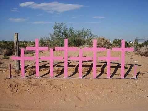 Juárez y Chihuahua, municipios con mayor número de feminicidios; se registraron 48 en 2024: FEM