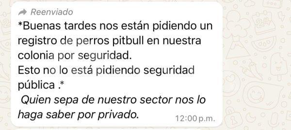 Descarta Bonilla llevar a cabo un censo de perros Pitbull