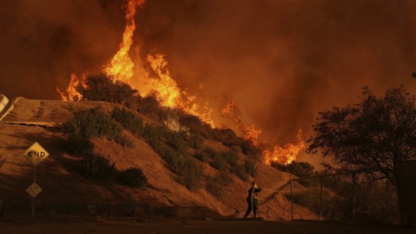 Actriz de Hollywood muere en los incendios de Los Ángeles