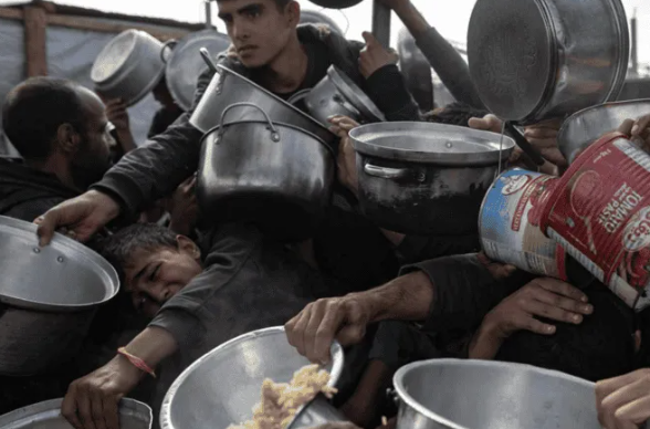 Empresa gazatí busca que las familias puedan alimentarse, tras la tregua