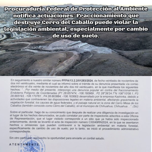 La PROFEPA notifica acciones legales contra fraccionamiento en el Cerro del Caballo