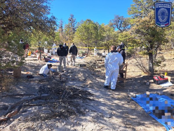 Localiza FGE cuerpos inhumados en fosas clandestinas en zona boscosa de Casas Grandes