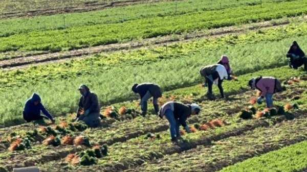 Denuncian campaña en Estados Unidos para delatar migrantes; 