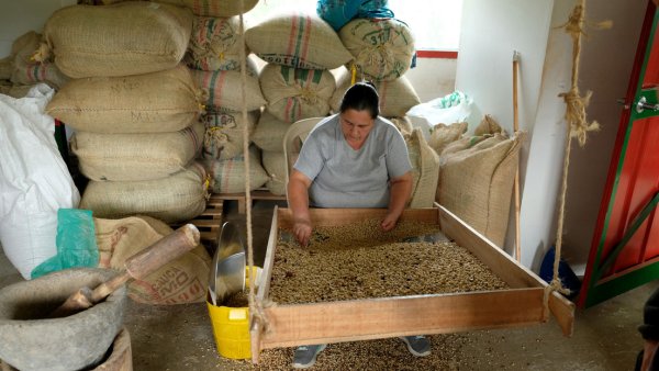 El café colombiano rompe récord histórico en la bolsa de Nueva York