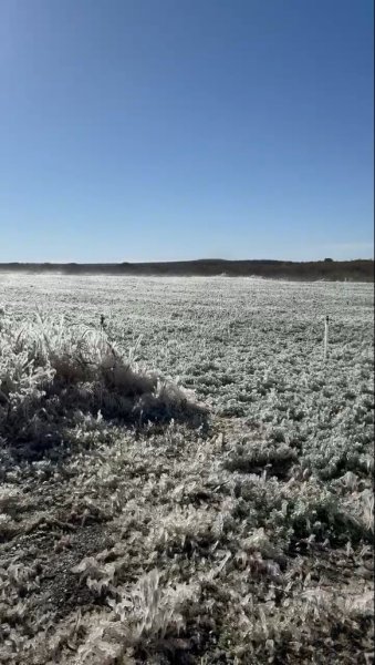 Registró Majalca -16°C, temperatura más baja del estado: CEPC