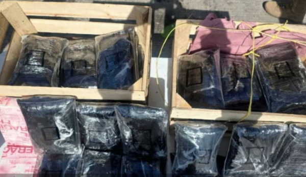 Detienen a sujeto en Sonora por transportar 275 mil pastillas de fentanilo ocultas en cajas de nopales