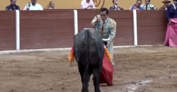 El torero mexicano Emilio Macías ya está de pie tras sufrir una grave cornada en la región rectal